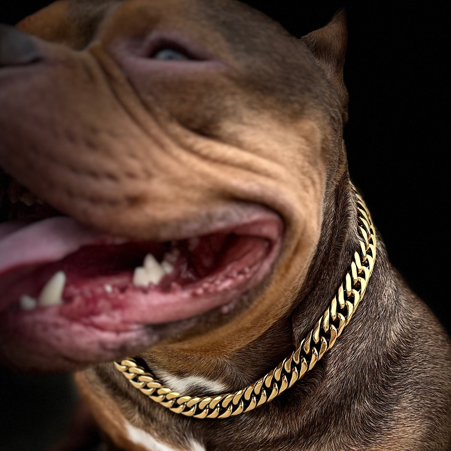喜平6面W gold chain 16mm