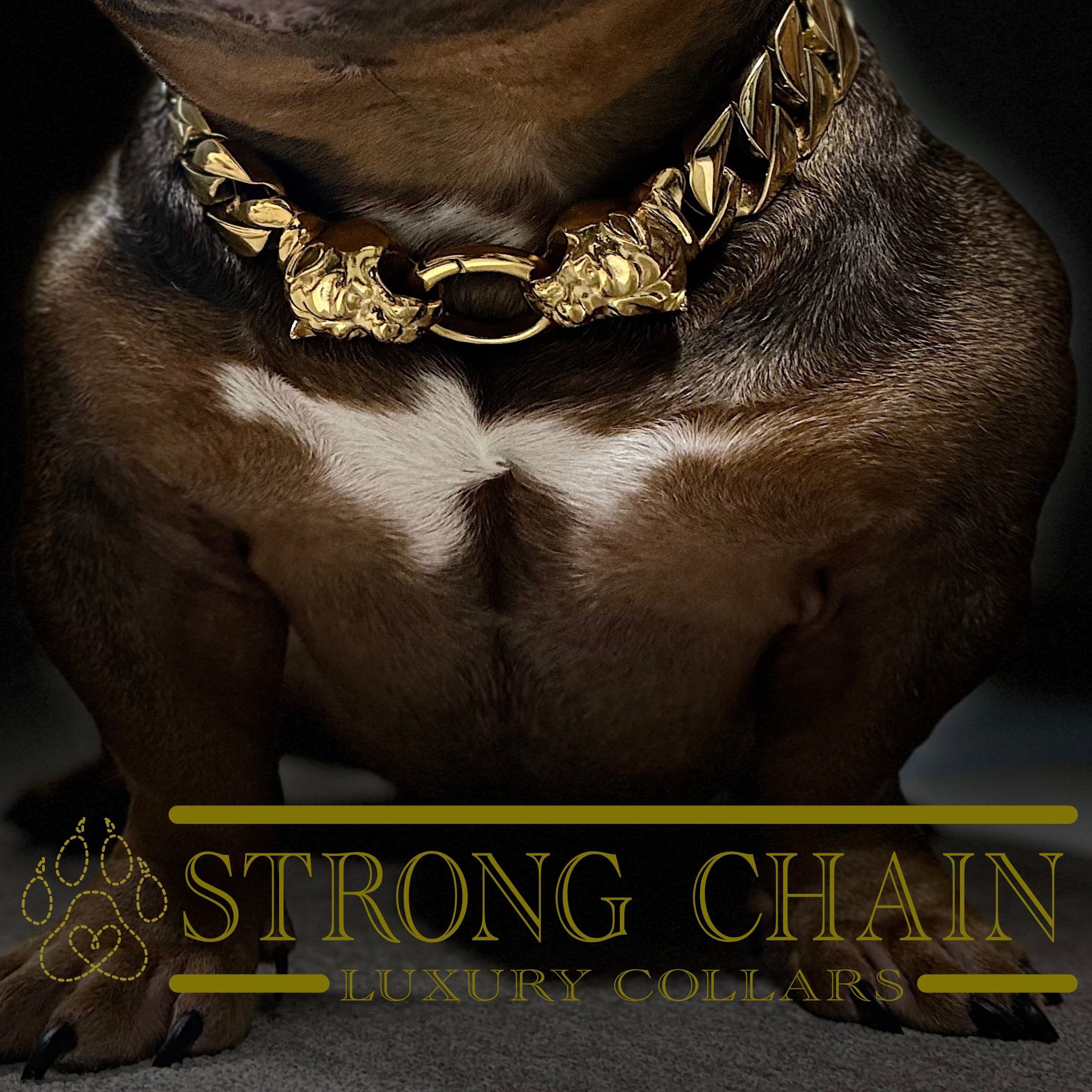 CHAIN COLLAR – STRONG CHAIN