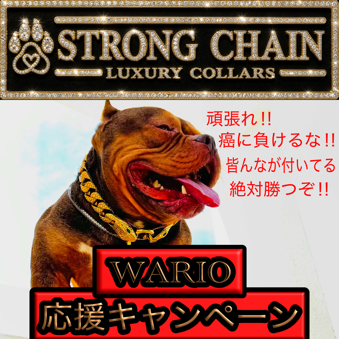WARIO応援キャンペーン