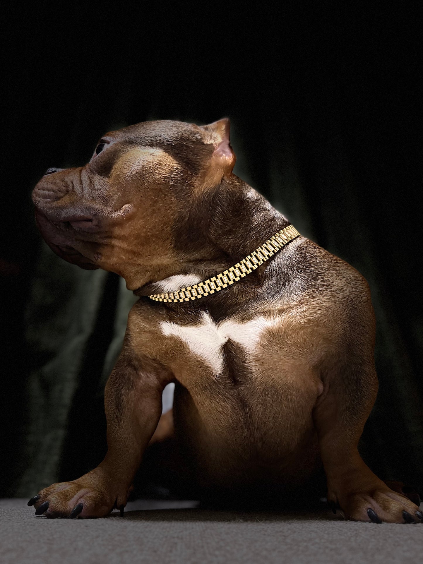 iced out presidential link gold necklace 16mm