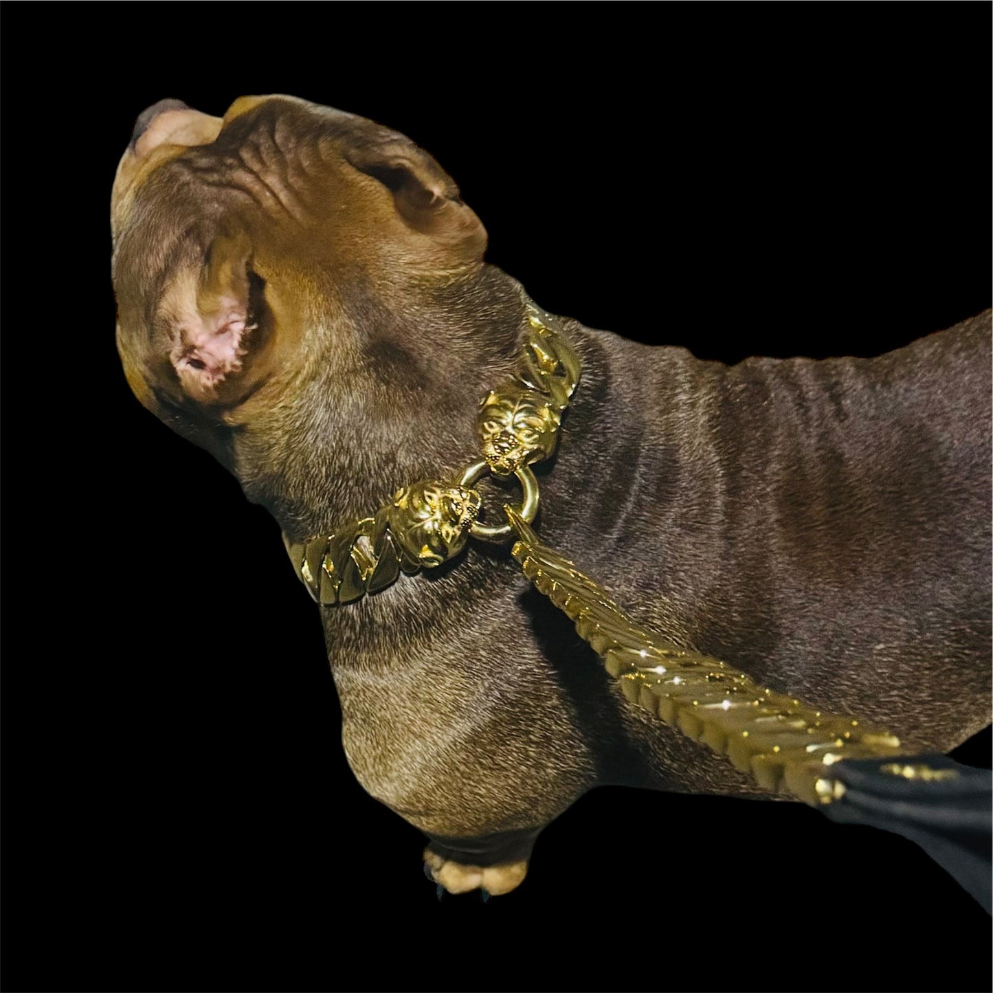 XL CUBAN CHAIN LEASH