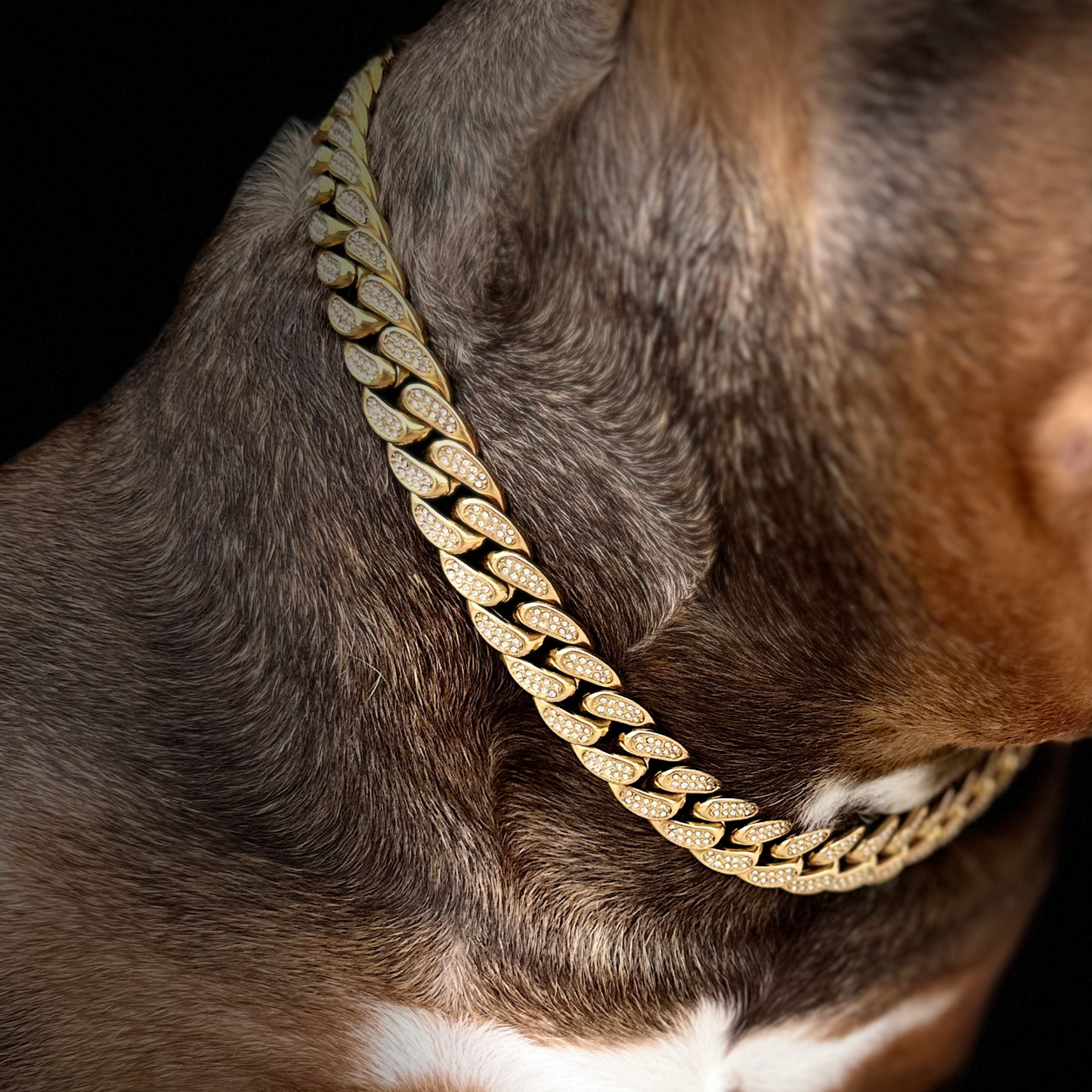 iced out cuban gold chain 16mm