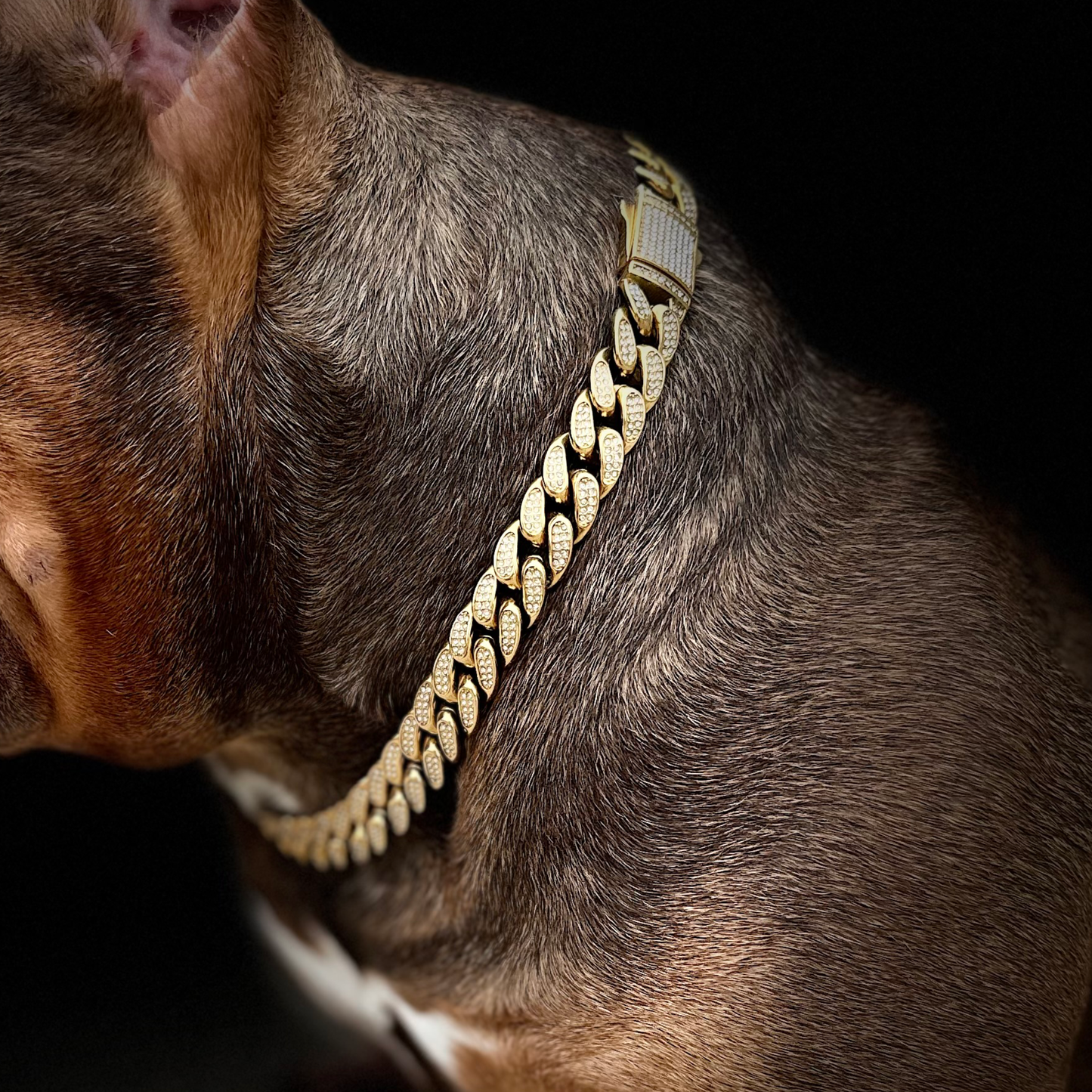 iced out cuban gold chain 16mm